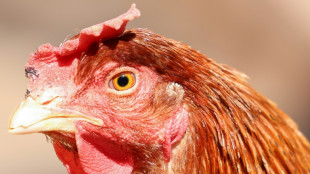 US urged to do more to fight bird flu after first death