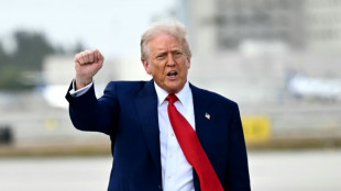 Droits de douane: des d&eacute;mocrates soup&ccedil;onnent Trump de possible d&eacute;lit d'initi&eacute;