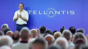 Filosa, 'servono super-incentivi Ue per le auto piccole'