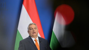 La UE cruza una "l&iacute;nea roja" con el embargo del petr&oacute;leo ruso, seg&uacute;n el dirigente h&uacute;ngaro