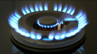 Prix du gaz, indemnit&eacute;s ch&ocirc;mage, DPE: ce qui change en juillet