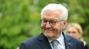 Steinmeier reist zu dreit&auml;gigem Staatsbesuch nach &Ouml;sterreich
