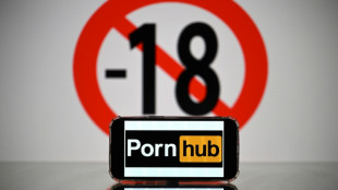 Donos do Pornhub suspendem acesso na França em protesto contra demandas legais