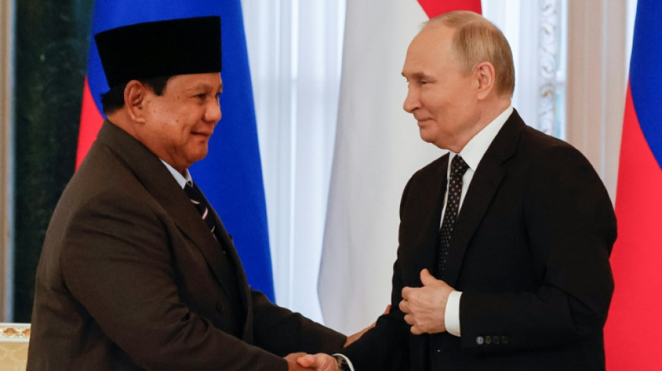 Indonesia leader touts growing Russia ties after talks with Putin