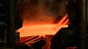 L'UE déploie un arsenal sans précédent pour sauver sa production d'acier