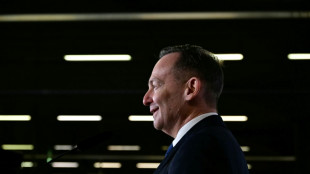 Wissing schlie&szlig;t neues Ministeramt in k&uuml;nftiger Bundesregierung nicht aus 