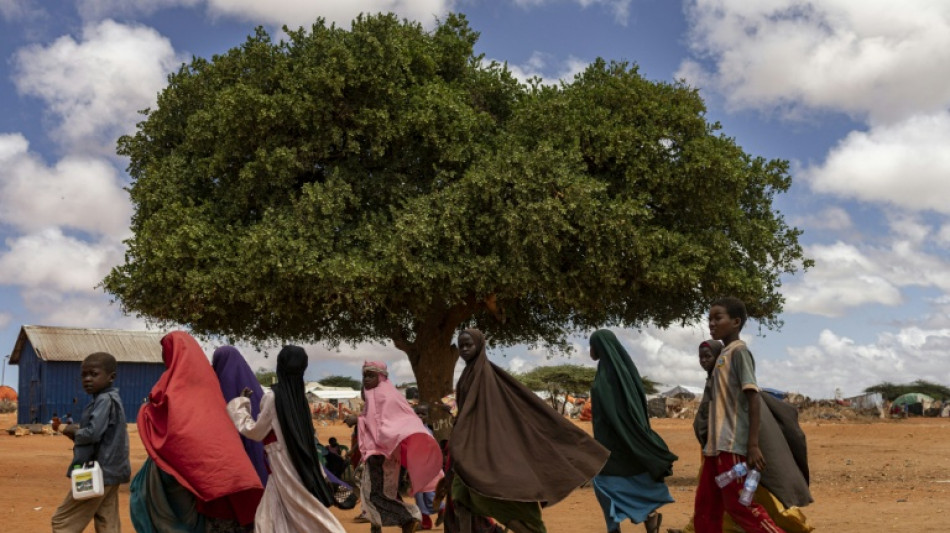 Nearly half the world's children exposed to three or more climate risks: UNICEF 