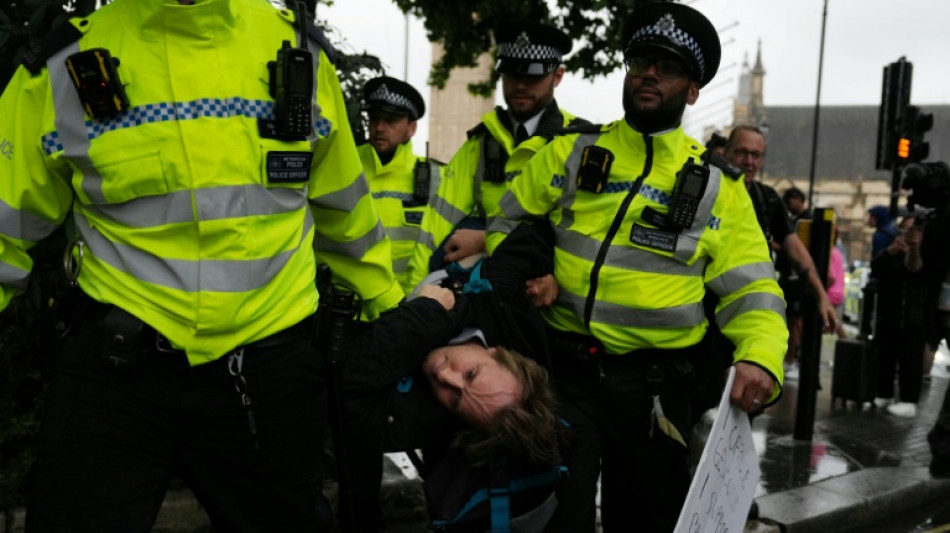 Detienen en Reino Unido a decenas de partidarios del ilegalizado grupo Palestine Action