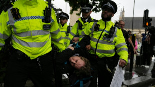 Detienen en Reino Unido a decenas de partidarios del ilegalizado grupo Palestine Action