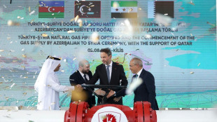 Turkey starts supplying Azerbaijani gas to boost Syria's power output