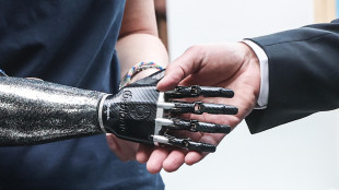 Nel cervello l'alfabeto che compone i movimenti delle mani