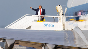 Media, 'Trump in Israele lunedì, poi vola in Egitto'