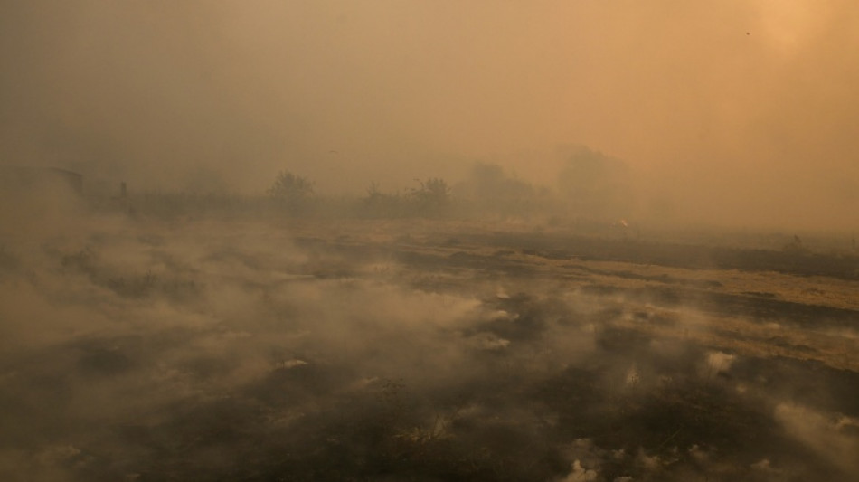 Wind erschwert Kampf gegen Rekord-Waldbrände in Spanien - Mann stirbt in Portugal