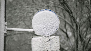 Sturm und Schnee sorgen für Unfälle in Süden und Westen - Mann von Baum erschlagen