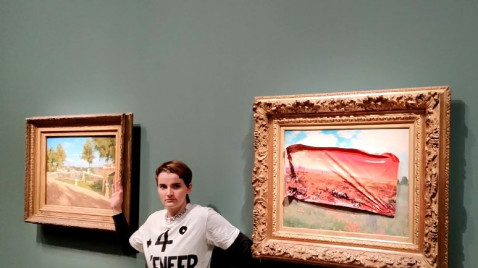 Une militante interpell&eacute;e apr&egrave;s une action contre un Monet au Mus&eacute;e d'Orsay