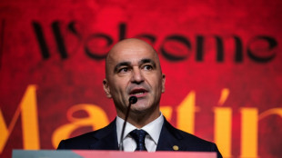 Roberto Mart&iacute;nez, nuevo seleccionador de Portugal 