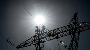 &Eacute;nergie : les Europ&eacute;ens ouvrent la voie &agrave; des mesures d'urgence "sans pr&eacute;c&eacute;dent"