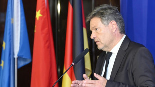 Un ministro alem&aacute;n dice que los aranceles de la UE a los autom&oacute;viles el&eacute;ctricos chinos no son punitivos