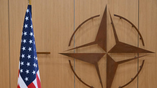 'Usa, l'Europa prenda il controllo della Nato entro 2027'