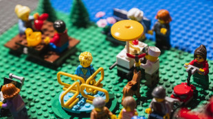 Lego, opulent en 2022, conforte sa place de num&eacute;ro 1 mondial du jouet