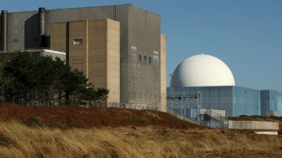 UK gives green light to &pound;38 bn Sizewell C nuclear plant