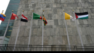 Spanien, Irland und Norwegen wollen Palästinenserstaat offiziell anerkennen
