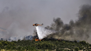 Gr&egrave;ce: r&eacute;pit partiel sur le front des incendies