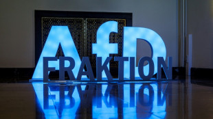 Merz au d&eacute;fi de freiner l'extr&ecirc;me droite &agrave; l'Est, 35 ans apr&egrave;s la r&eacute;unification allemande