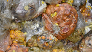 UE aprova lei contra desperd&iacute;cio de alimentos e res&iacute;duos da fast fashion