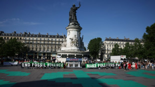 Pour passer &agrave; "une finance verte", des militants &eacute;cologistes manifestent &agrave; Paris 