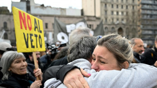 Deputados argentinos rejeitam veto de Milei a fundos para pessoas com deficiência