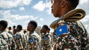 Somalia air strikes, combat kill dozens of jihadists: govt