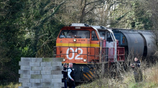 Agro-industrie: "plusieurs plaintes" apr&egrave;s le blocage dans le  Morbihan d'un train pour l'alimentation animale
