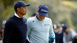 Tiger Woods se disculpa por darle un tamp&oacute;n a Thomas en pleno torneo