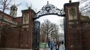 Republicanos ir&atilde;o investigar Universidade de Harvard