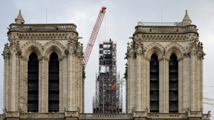 A un an de la r&eacute;ouverture, Macron annonce des vitraux du XXIe si&egrave;cle pour Notre-Dame de Paris