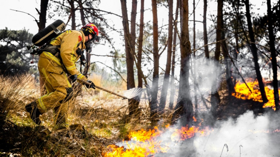 Incendies aux Pays-Bas: La France envoie des renforts