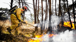 Incendies aux Pays-Bas: La France envoie des renforts