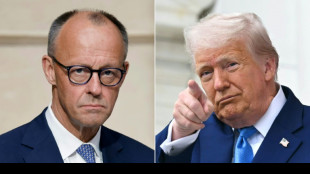 Germany's Merz to brave Trump's Oval Office test