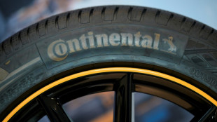 Germany's Continental launches IPO of car parts unit