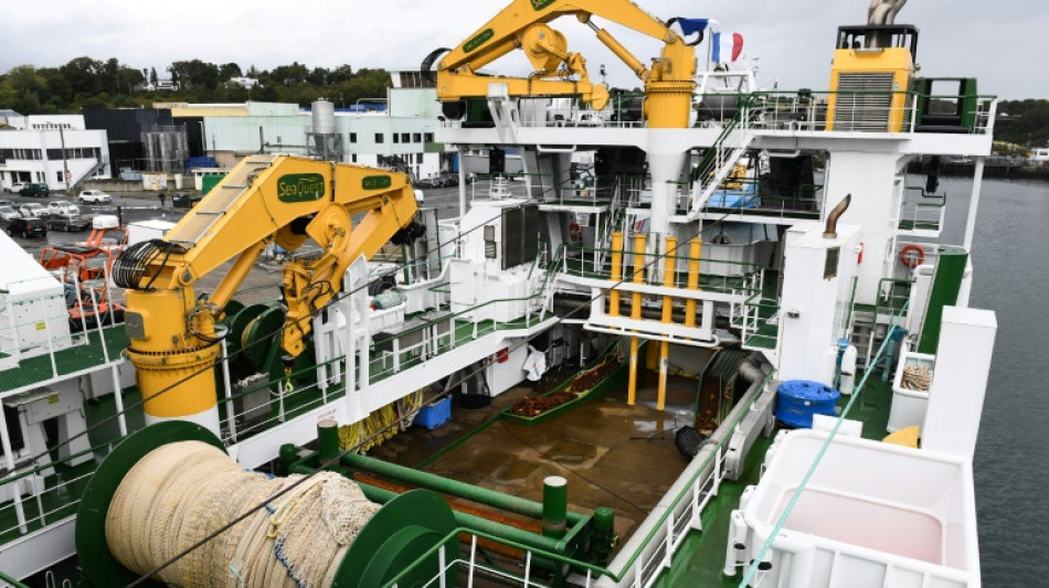 Chalutage de fond dans les aires protégées: des ONG saisissent la Commission européenne