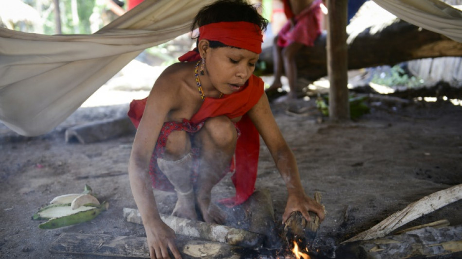 Br&eacute;sil: les enfants du territoire indig&egrave;ne Yanomami victimes de malnutrition et du paludisme