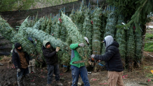 El desempleo en EEUU sube a 4,6% en noviembre, el m&aacute;s alto desde 2021 