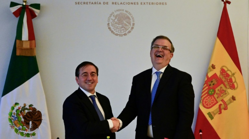 Canciller espa&ntilde;ol asegura que la relaci&oacute;n con M&eacute;xico es "privilegiada"