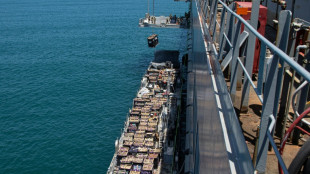 Cais instalado pelos EUA em Gaza recebe primeiro carregamento de ajuda