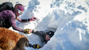 Les chiens d'avalanche &agrave; l'entra&icirc;nement avant la d&eacute;ferlante des vacanciers