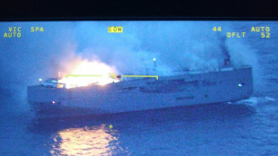 Autoridades holandesas tentam apagar inc&ecirc;ndio em navio cargueiro
