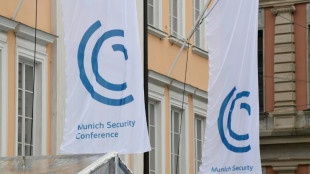 "Bild": Iranische Regierungsvertreter von M&uuml;nchner Sicherheitskonferenz ausgeladen