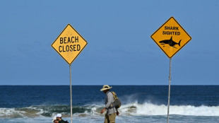 Jugendlicher in Australien bei Haiangriff lebensgef&auml;hrlich verletzt