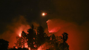 Danni per 224 miliardi di dollari dai disastri naturali nel 2025